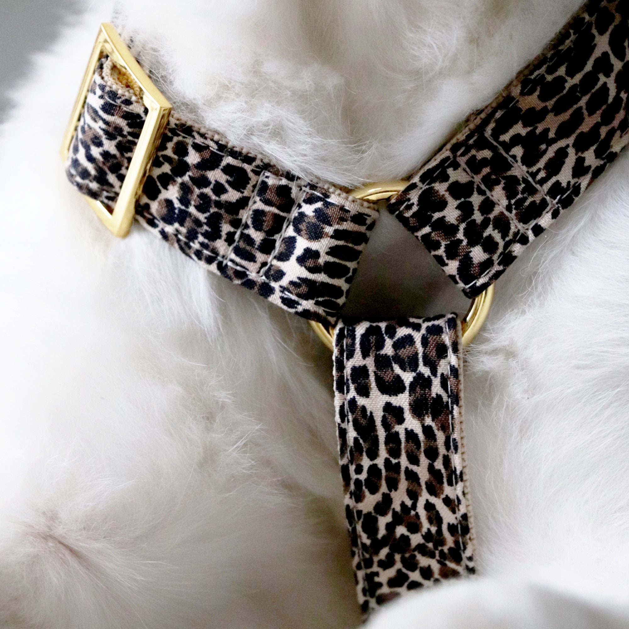 Stylish Dog Harness WILD LIFE Leopard Print Handmade in Etsy