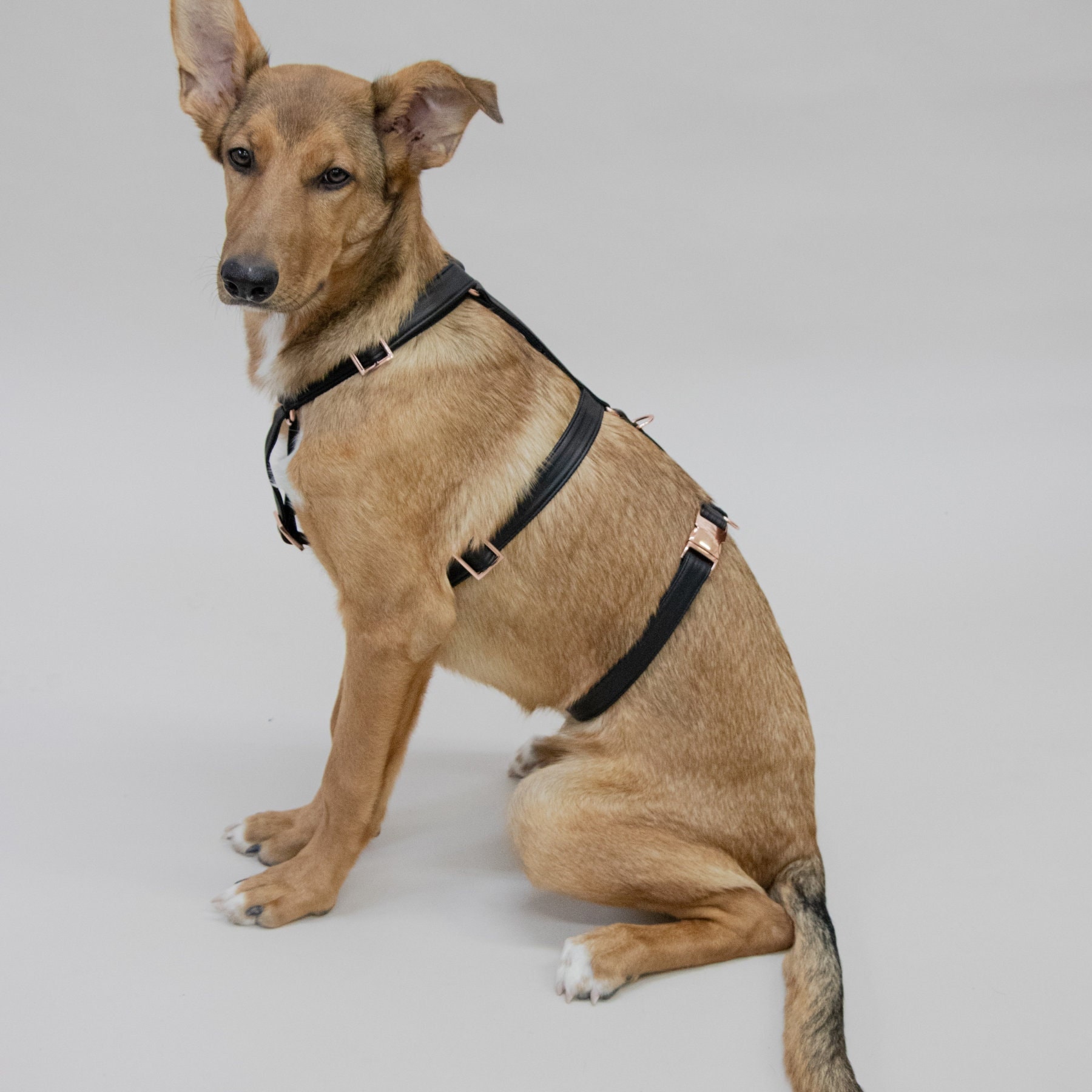 Safety clearance harness dog