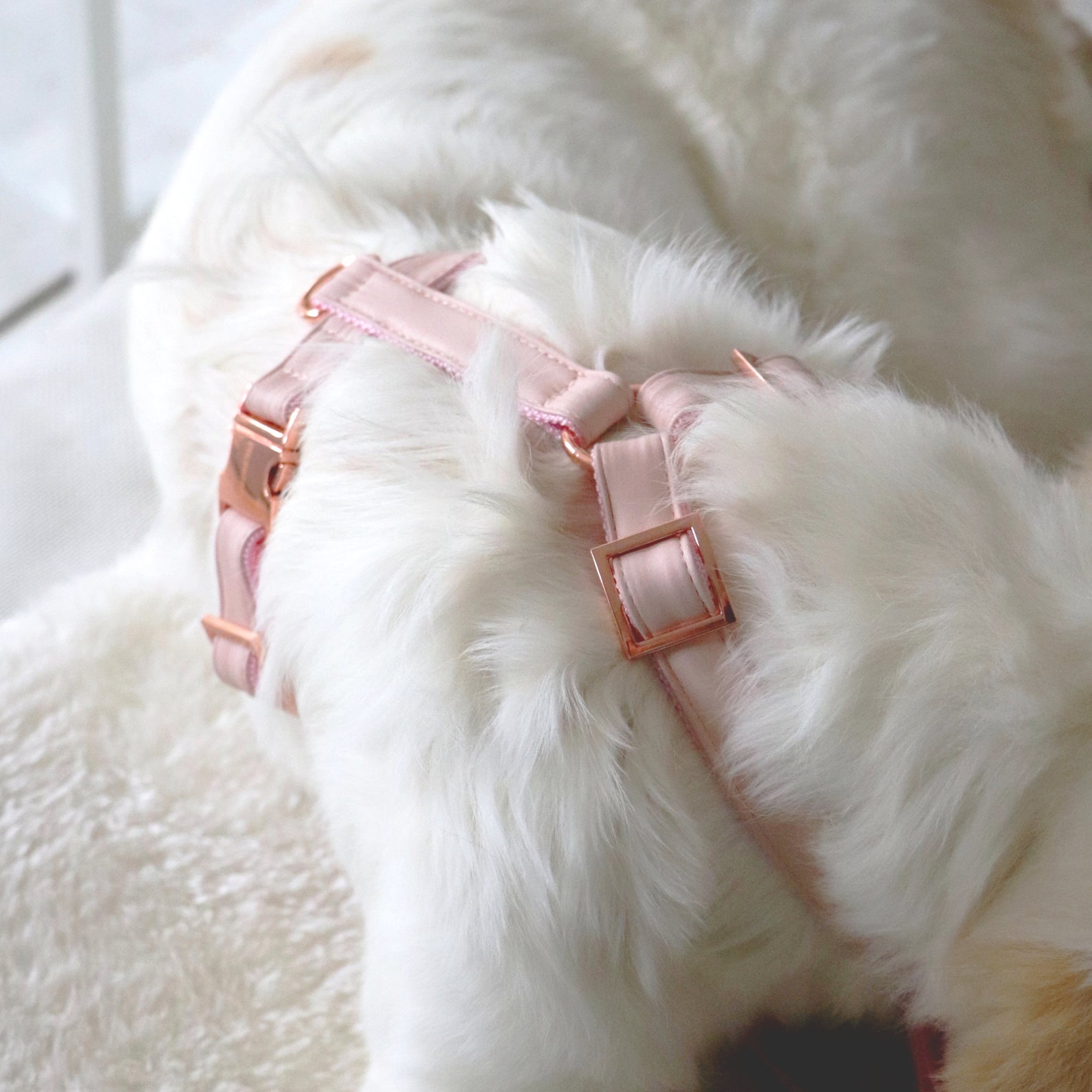 Designer Dog Harness BLUSH Designer Harness With Rose Gold Etsy