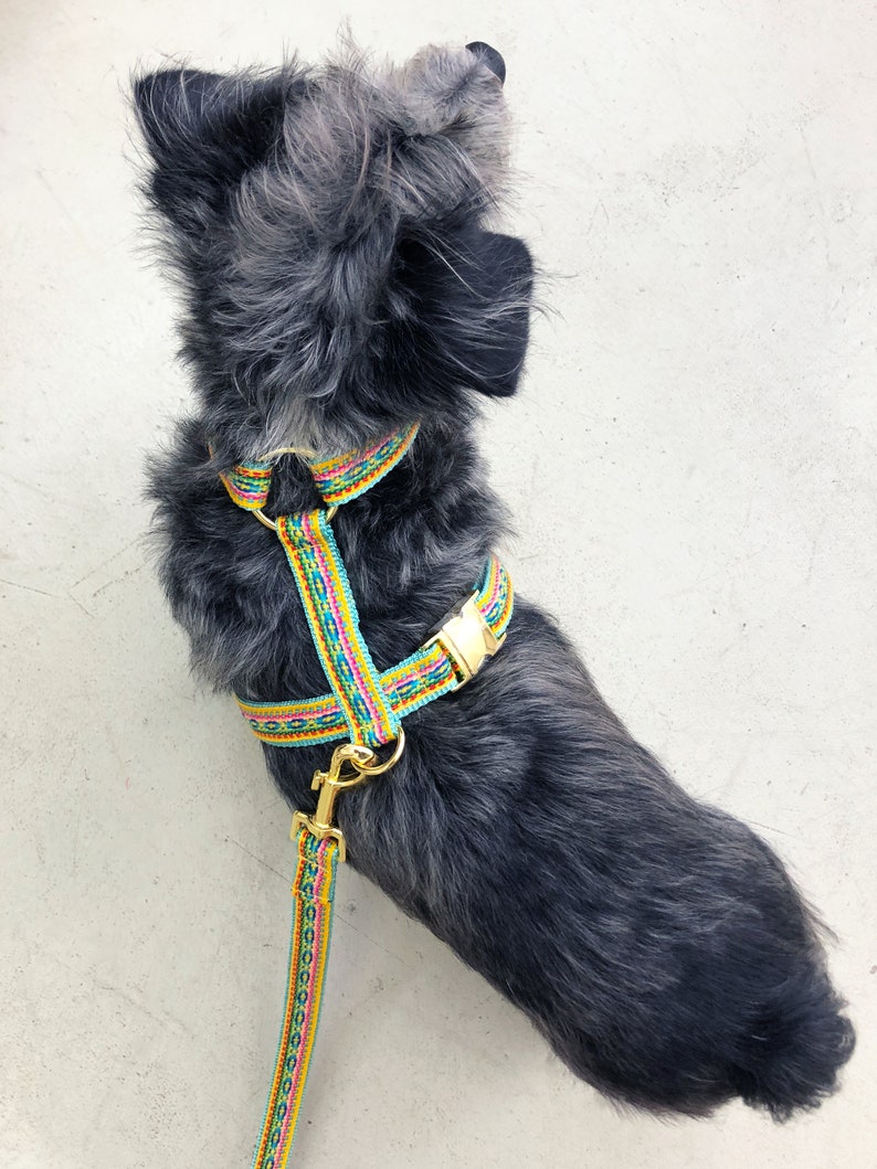 matching leash available Designer dog harness IBIZA yellow designer dog harness with boho pattern