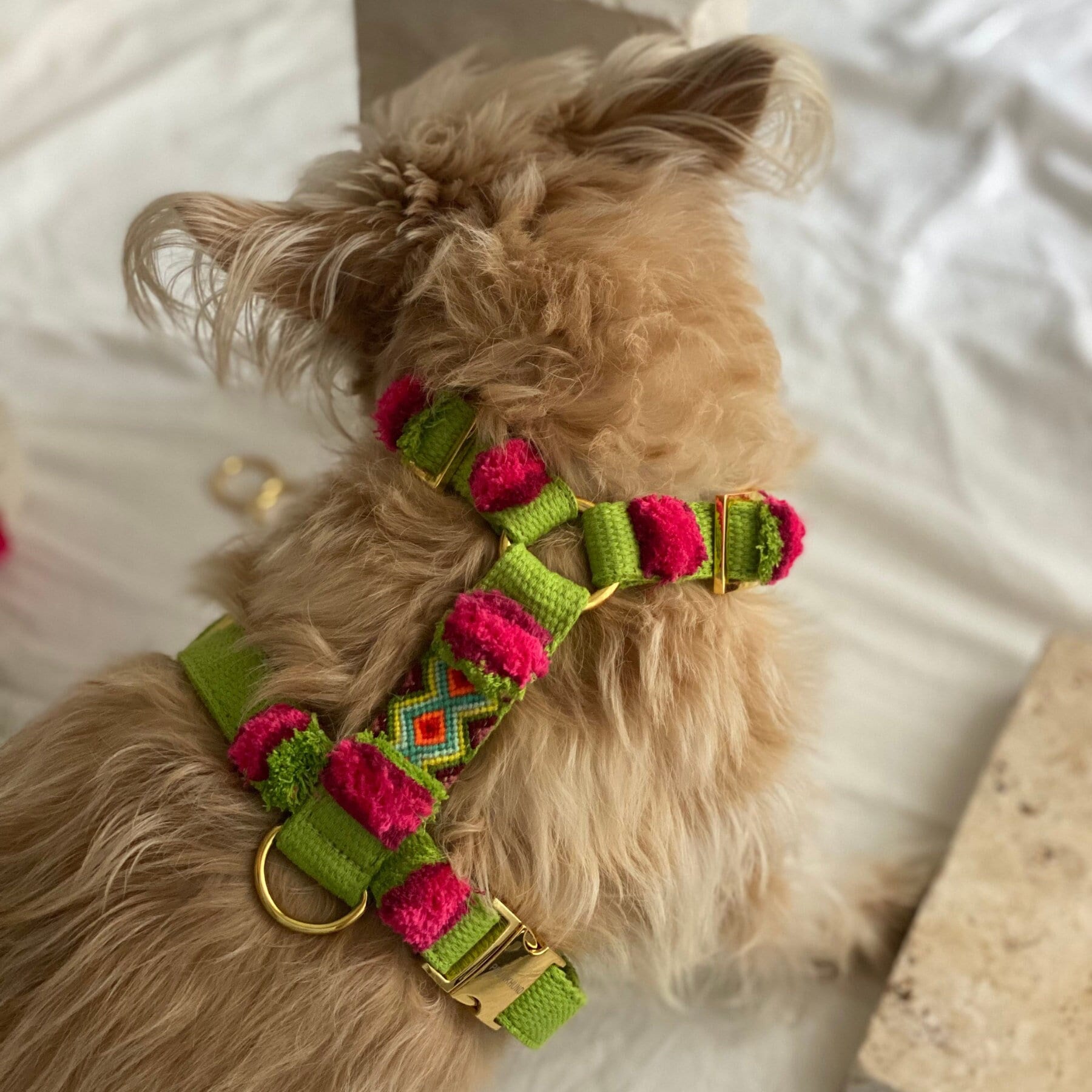 Designer Dog Harness NOMAD Lime Designer Dog Harness With 