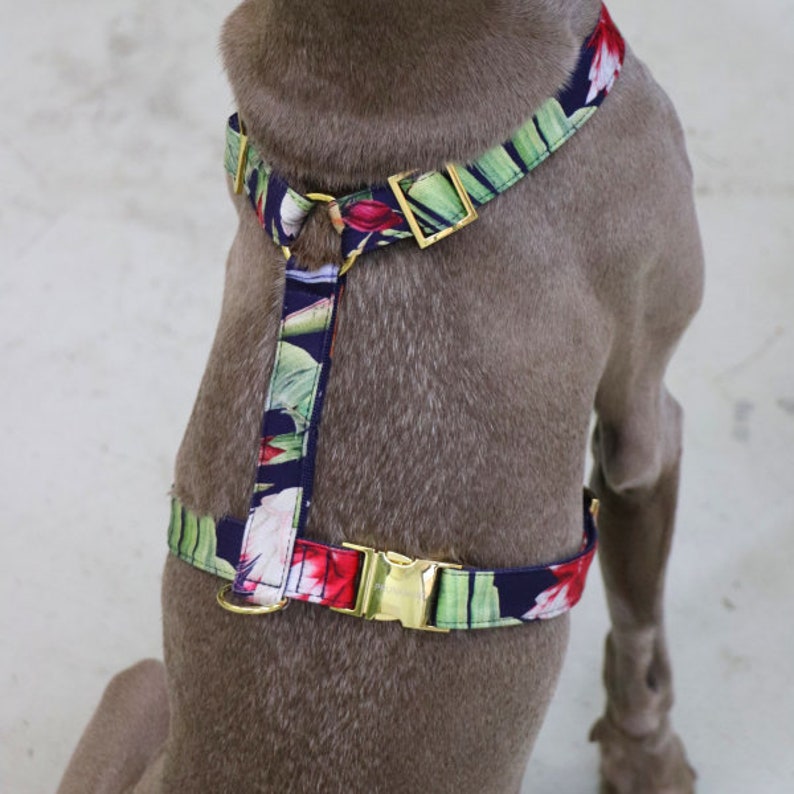 Stylish dog harness TROPICAL GARDEN handmade in Germany Etsy
