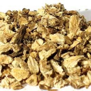 Angelica Root - Bulk