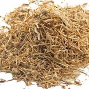 Nettle Root
