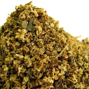 Elder Flowers - Bulk