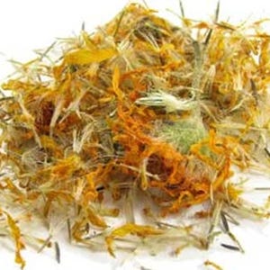Arnica Montana Flowers
