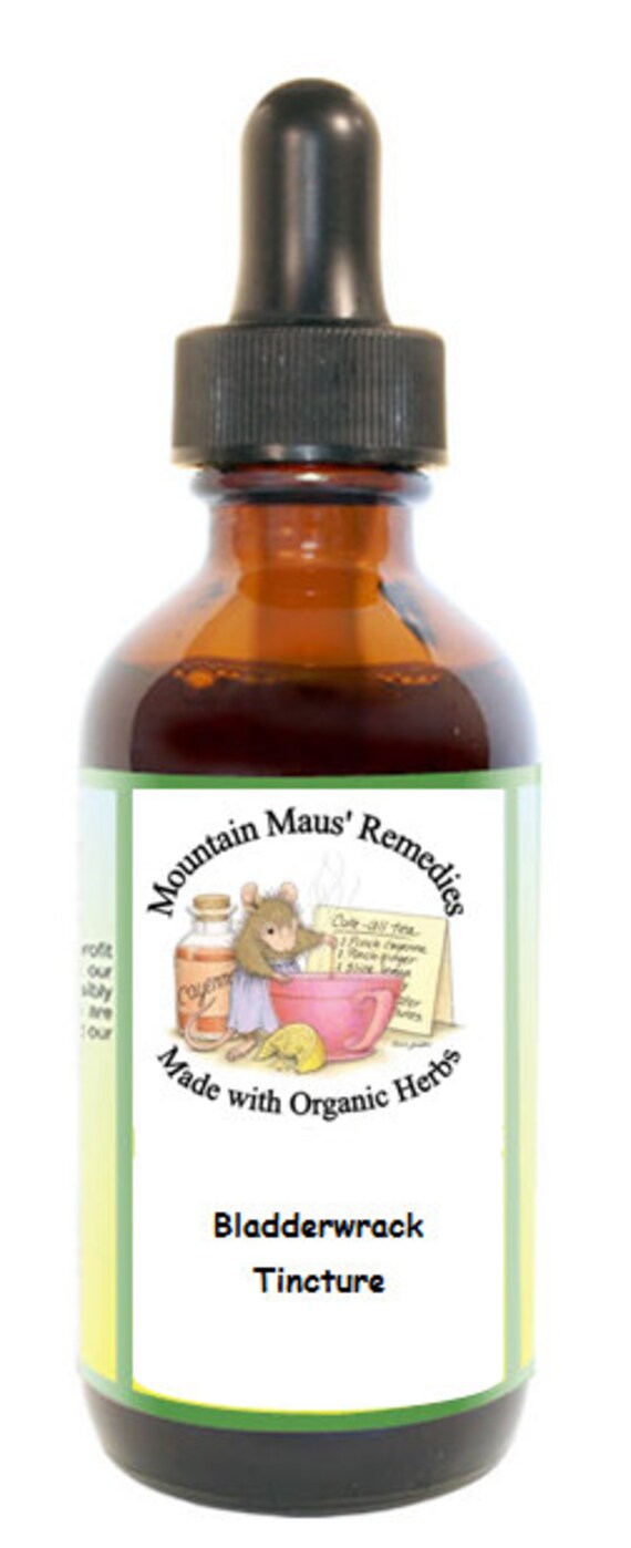 Bladderwrack Tincture/Extract Etsy