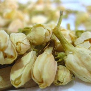 Jasmine Flowers
