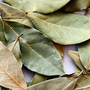 Bay Leaf