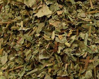 Lady's Mantle Herb
