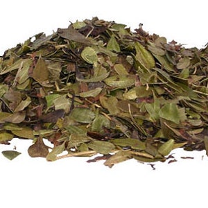 Uva Ursi Leaf