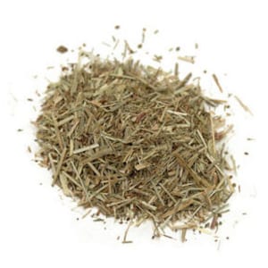 Sheep Sorrel Herb