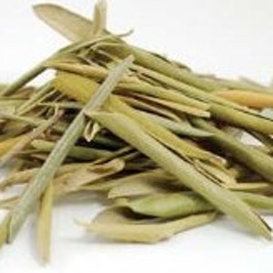 Olive Leaf