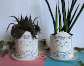 Cheerful Skull handmade and illustrated ceramic flowerpot for small succulents
