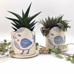 May include: Two ceramic bird plant pots with succulents. The pots are white with blue bird illustrations and pink accents. Each pot sits on a matching saucer. The plants have dark green and brown leaves. The background is white.