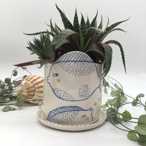 Fish handmade and illustrated ceramic flowerpot for small succulents