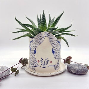 Può includere: Un vaso di ceramica bianco con un disegno di volto blu illustrato, contenente una pianta di aloe vera verde. Il vaso poggia su un piattino abbinato. Il design presenta linee tratteggiate blu e accenti rosa. Un oggetto decorativo.