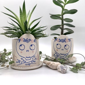 May include: Two ceramic skull planters with plants. The white planters have a blue skull design with a floral crown and are on matching saucers. One planter holds a succulent, the other a jade plant. Decorative greenery and stones are in the foreground.