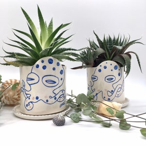 May include: Two ceramic planters with a blue octopus design. The planters contain green succulents. Each planter has a matching saucer. Seashells and greenery are arranged around the planters.