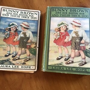 Bunny Brown and His Sister Sue and Their Trick Dog - Laura Lee Hope - 1923 - Original Dust Jacket - Antique Children&#39;s Book - Nice Condition