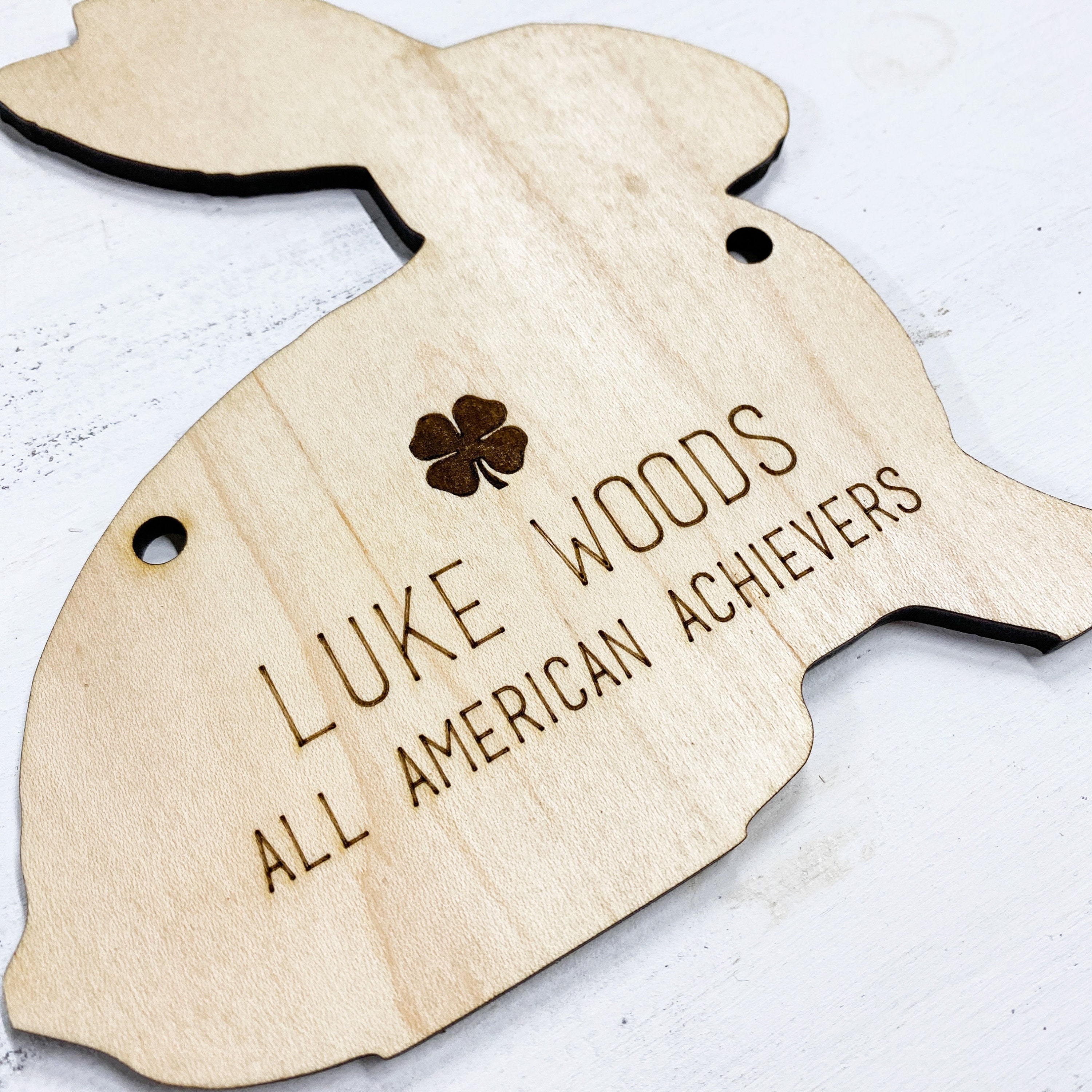 4 H Rabbit Signs Rabbit Pen Stall Sign | 4H Barn Stall Sign | Rabbit | Chicken ...