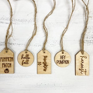 Wooden Fall Tag Set | Pumpkin Patch Tag | Hello Fall | Fall decor | Table setting tags | Mini wooden tags for pumpkins