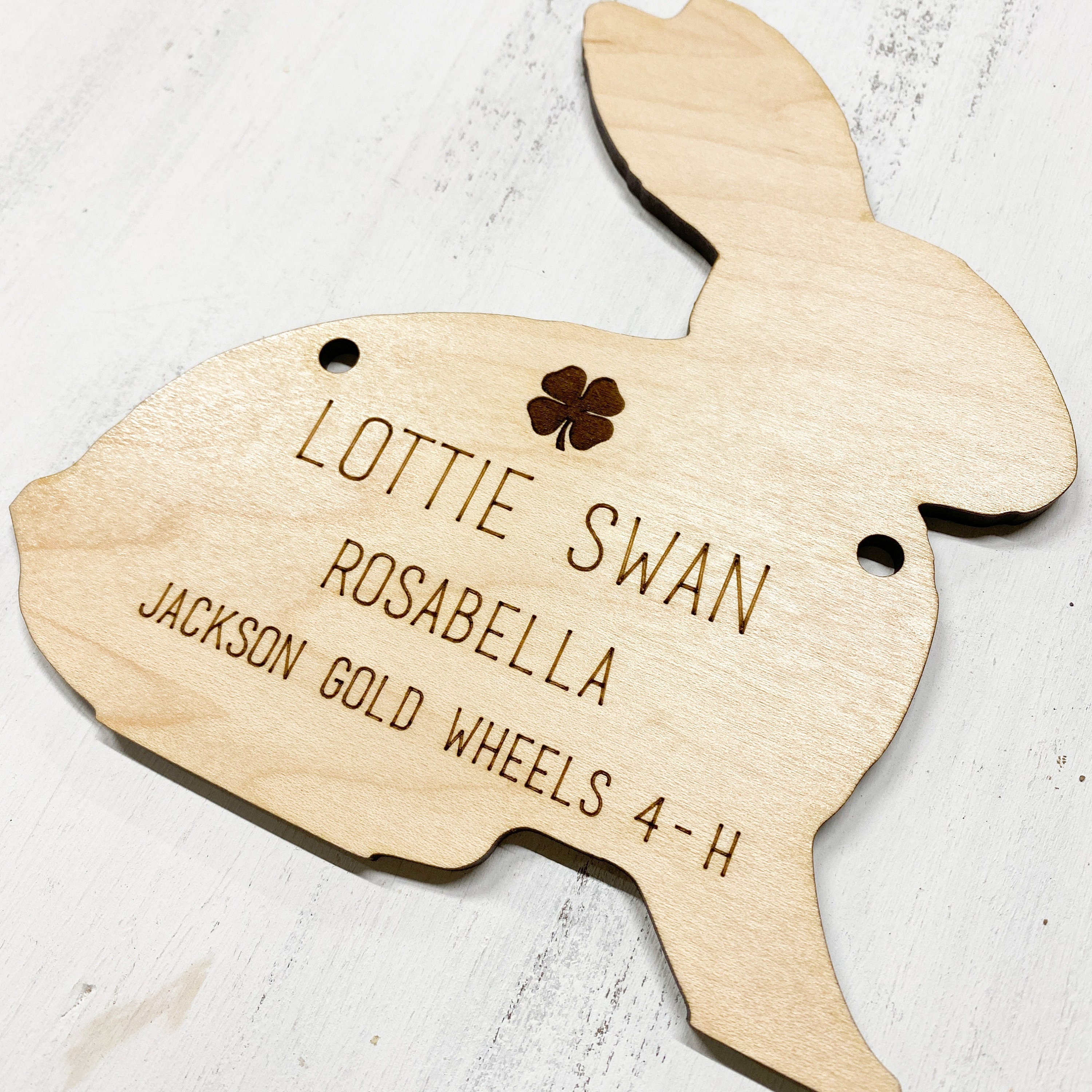 4 H Rabbit Signs Rabbit Pen Stall Sign | 4H Barn Stall Sign | Rabbit | Chicken ...