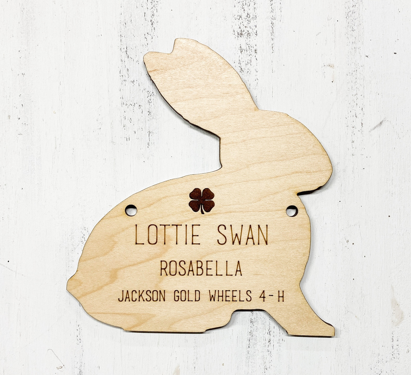 4 H Rabbit Signs Rabbit Pen Stall Sign | 4H Barn Stall Sign | Rabbit | Chicken ...