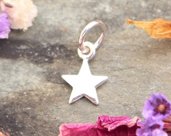 May include: A small, shiny silver star charm with a loop for attaching to a necklace or bracelet. The star is five-pointed and has a smooth, reflective surface. The charm is shown against a gray stone surface with colorful dried flower petals.