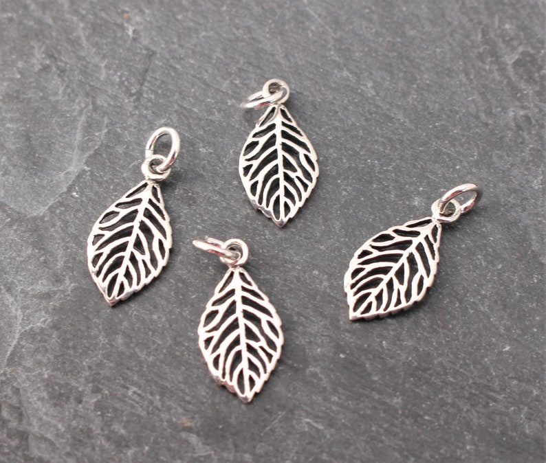 Op de afbeelding: Vier zilverkleurige bladbedels met gedetailleerde aderen. Elke bedel heeft een kleine lus om aan een ketting of armband te bevestigen. De bedels liggen op een donkergrijze ondergrond.