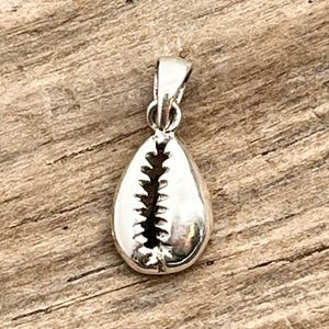 May include: A silver-colored cowrie shell pendant. The pendant has a loop at the top for a chain and a detailed, textured surface. The shell shape is teardrop-like, with a prominent central groove. The pendant is displayed on a wooden surface.