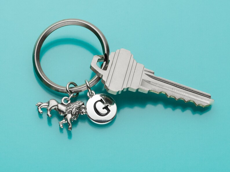 May include: A silver key chain with a lion charm, a silver charm with the letter G, and a silver key. The keychain is on a blue background.