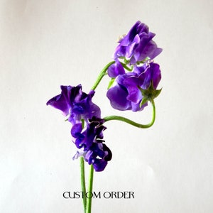 Può includere: Primo piano di un gruppo di vivaci fiori di pisello odoroso viola con petali increspati e steli verdi. Il testo "CUSTOM ORDER" è stampato nella parte inferiore dell'immagine.