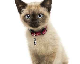 CAT Bling, accesorio de Collar del gato, gato Collar encanto, gato lamiendo pata, joyería de mascotas, 63