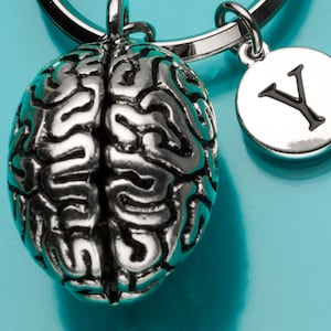 Anatomical Brain Keychain, Anatomical Brain Key Ring, Gray Matter Keychain, Personalized Keychain, Custom Keychain, Charm Keychain, 796