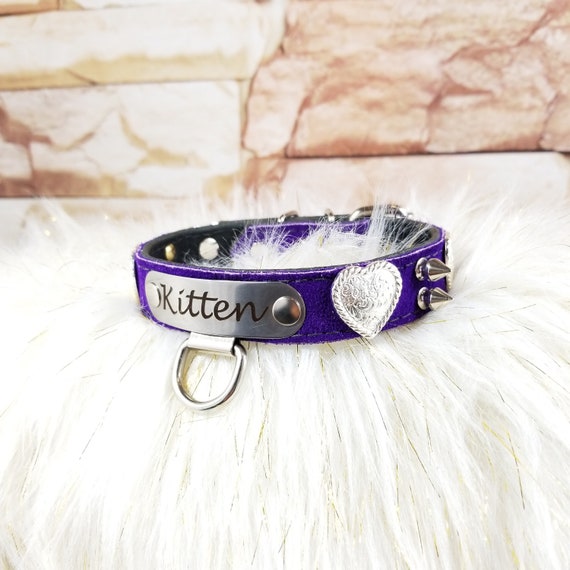 purple spiked dog collar