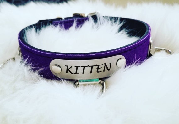 custom kitten collar