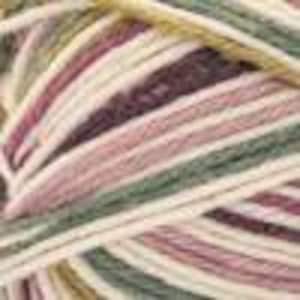 May include: A skein of yarn with a multi-colored variegated pattern in shades of pink, green, beige, and white.