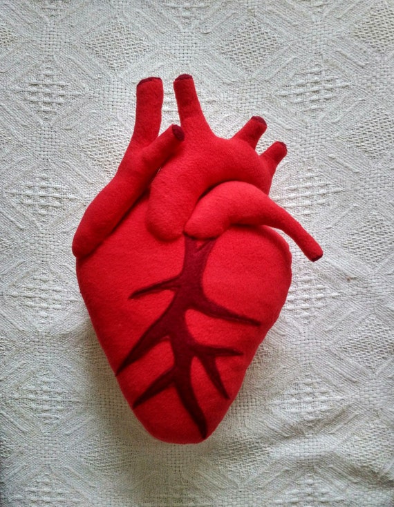 anatomically correct heart plush