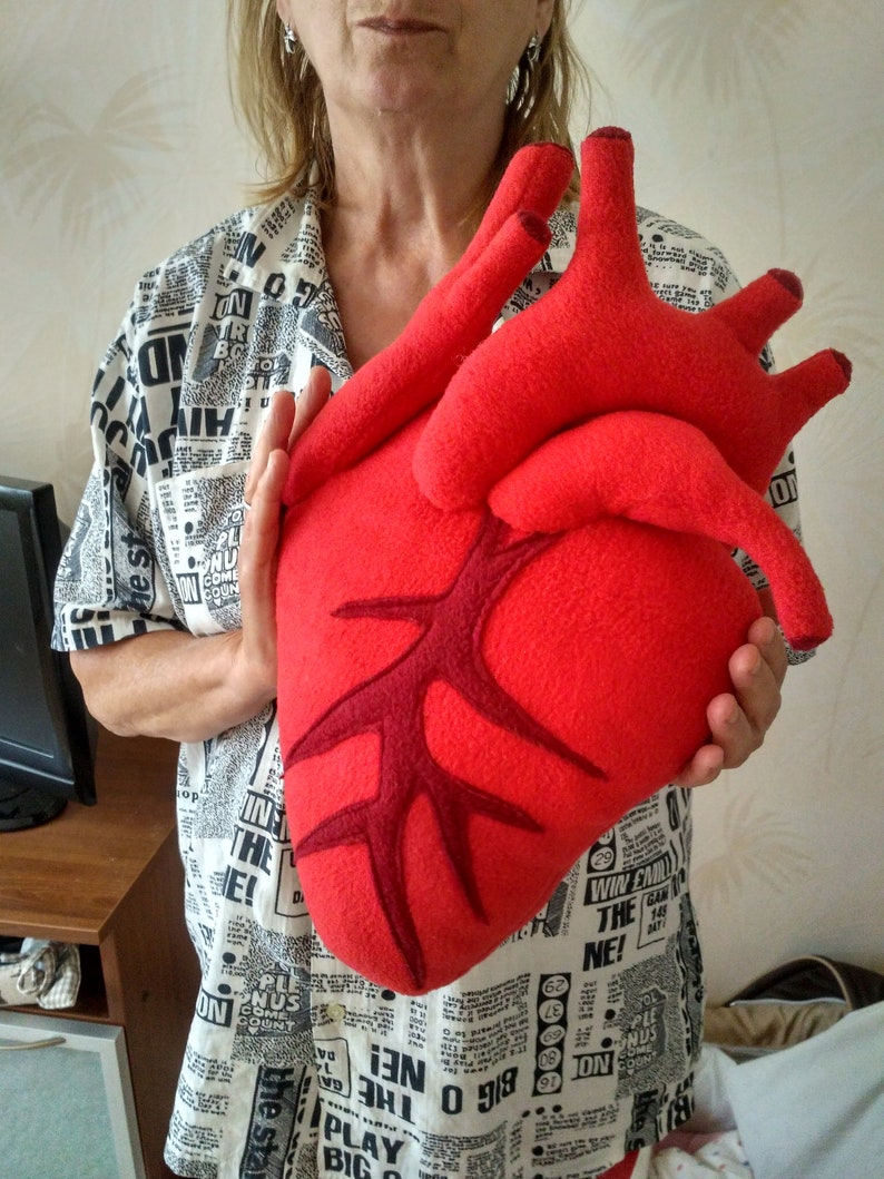 Anatomical heart cushion plush Plush heart pillow Etsy