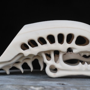 May include: A white, detailed, carved sculpture of an alien skull. The skull is open and shows the intricate details of the inside of the skull.
