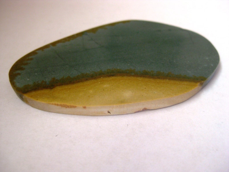Wild Horse Picture Jasper 57.8x34mm Freeform Stone Cabochon Gemstone 2152 No