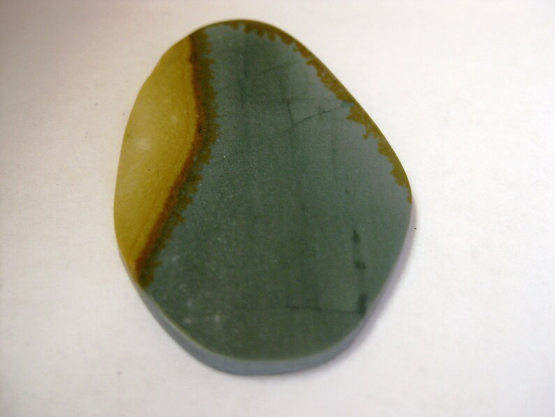 Wild Horse Picture Jasper 57.8x34mm Freeform Stone Cabochon Gemstone 2152 No