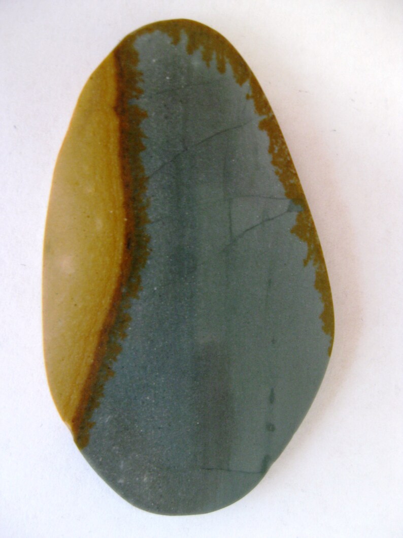 Wild Horse Picture Jasper 57.8x34mm Freeform Stone Cabochon Gemstone 2152 No