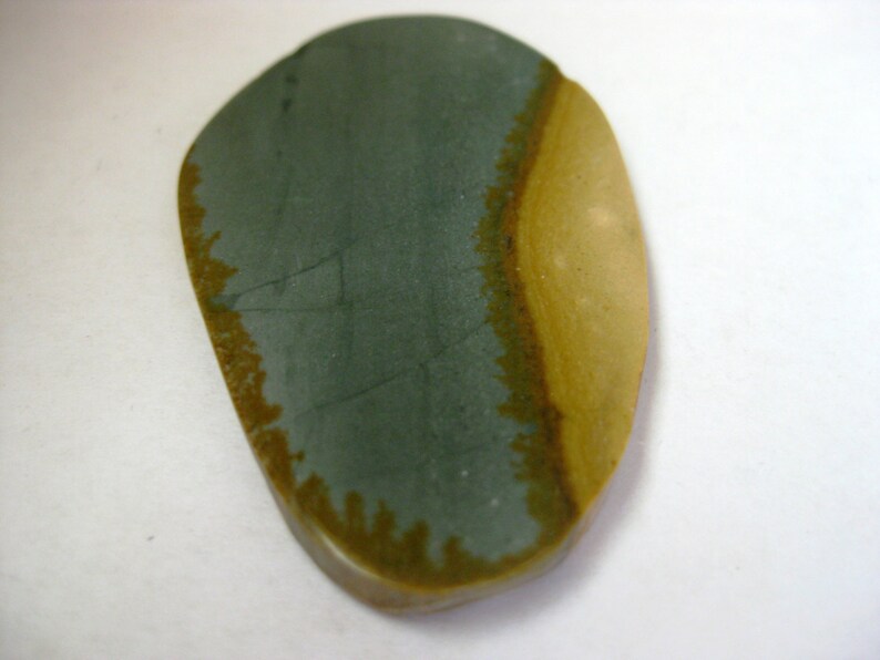 Wild Horse Picture Jasper 57.8x34mm Freeform Stone Cabochon Gemstone 2152 No