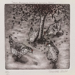 Hen Etching 'Hens Foraging Under A Spindle Tree' Hen Illustration Charlotte Mudd Muddillustration image 2