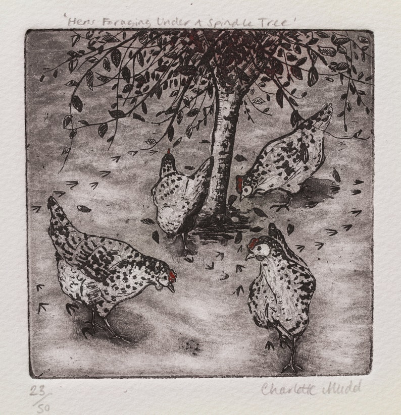 Hen Etching 'Hens Foraging Under A Spindle Tree' Hen Illustration Charlotte Mudd Muddillustration image 2