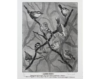 Birds etching-Bird Print- Bird Art -Drawing of birds -Garden Birds-British Birds.