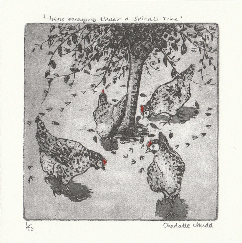 Hen Etching 'Hens Foraging Under A Spindle Tree' Hen Illustration Charlotte Mudd Muddillustration image 4