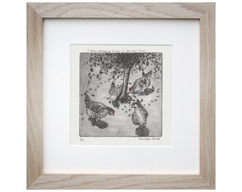 Hen Etching- 'Hens Foraging Under A Spindle Tree' - Hen Illustration - Charlotte Mudd - Muddillustration